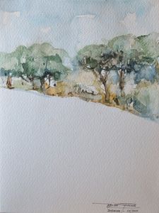 Doñana.-Huelva 2008