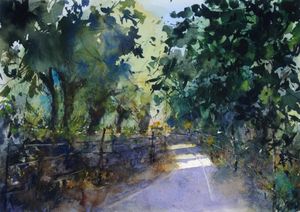 CAMINO DE PRIAS. ASTURIAS