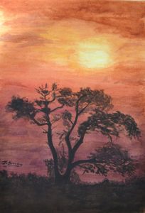 Águila imperial sobre alcornoque en Doñana